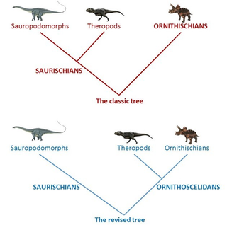 Árbol de los dinosaurios. Dmitry Bogdanov, Torley, Durbed